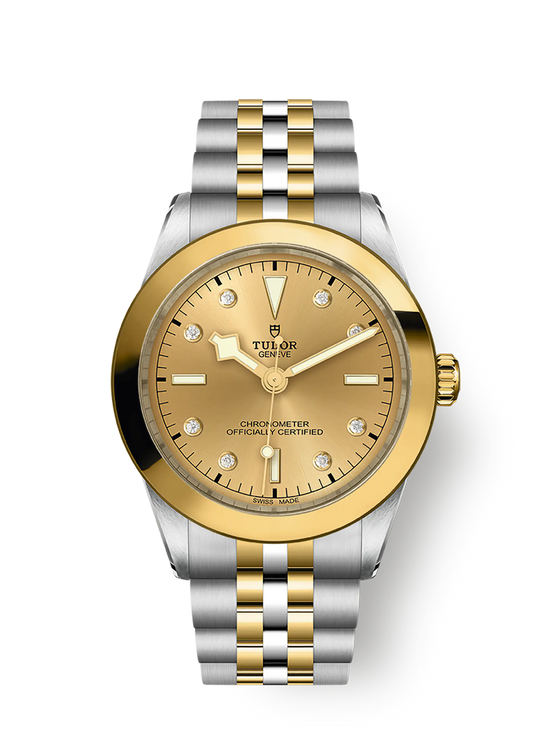 Tudor Replica Watch Black Bay 39 S &G, 316L Stainless Steel and 18k Yellow Gold, M79663-0008